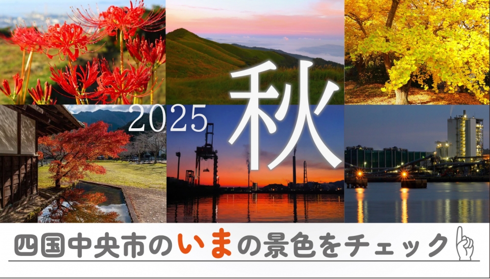 2025
