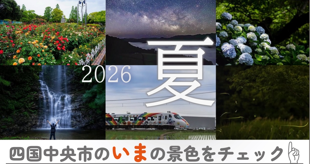 撮りたて!しこちゅ〜倶楽部